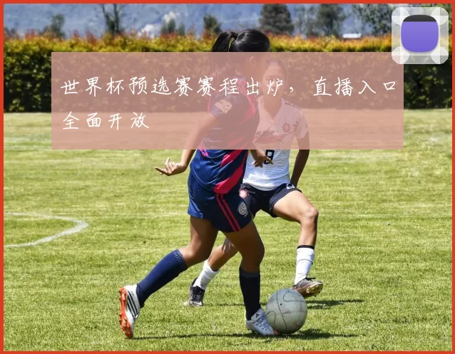 世界杯预选赛赛程出炉，直播入口全面开放
