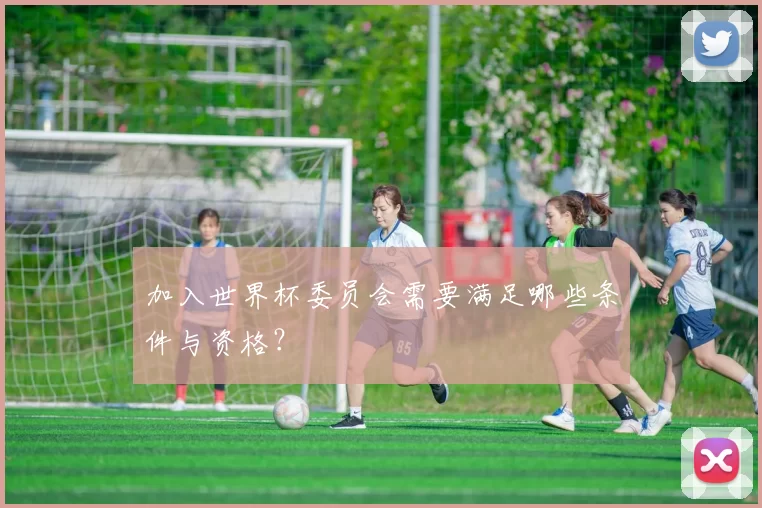 加入世界杯委员会需要满足哪些条件与资格?