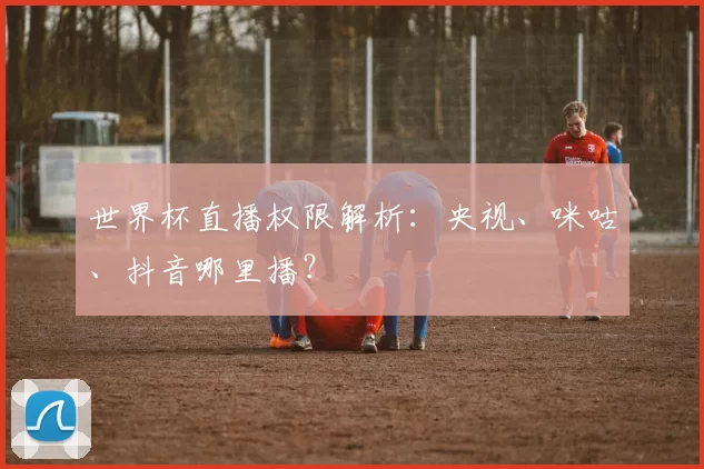 世界杯直播权限解析：央视、咪咕、抖音哪里播？