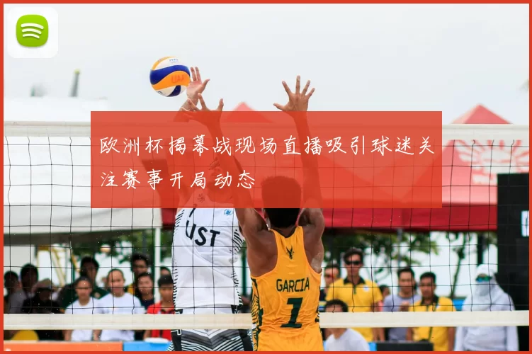 欧洲杯揭幕战现场直播吸引球迷关注赛事开局动态