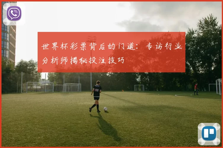 世界杯彩票背后的门道：专访行业分析师揭秘投注技巧