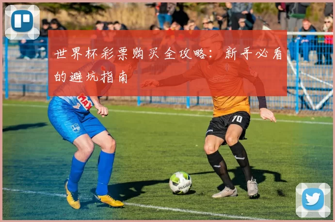 世界杯彩票购买全攻略：新手必看的避坑指南